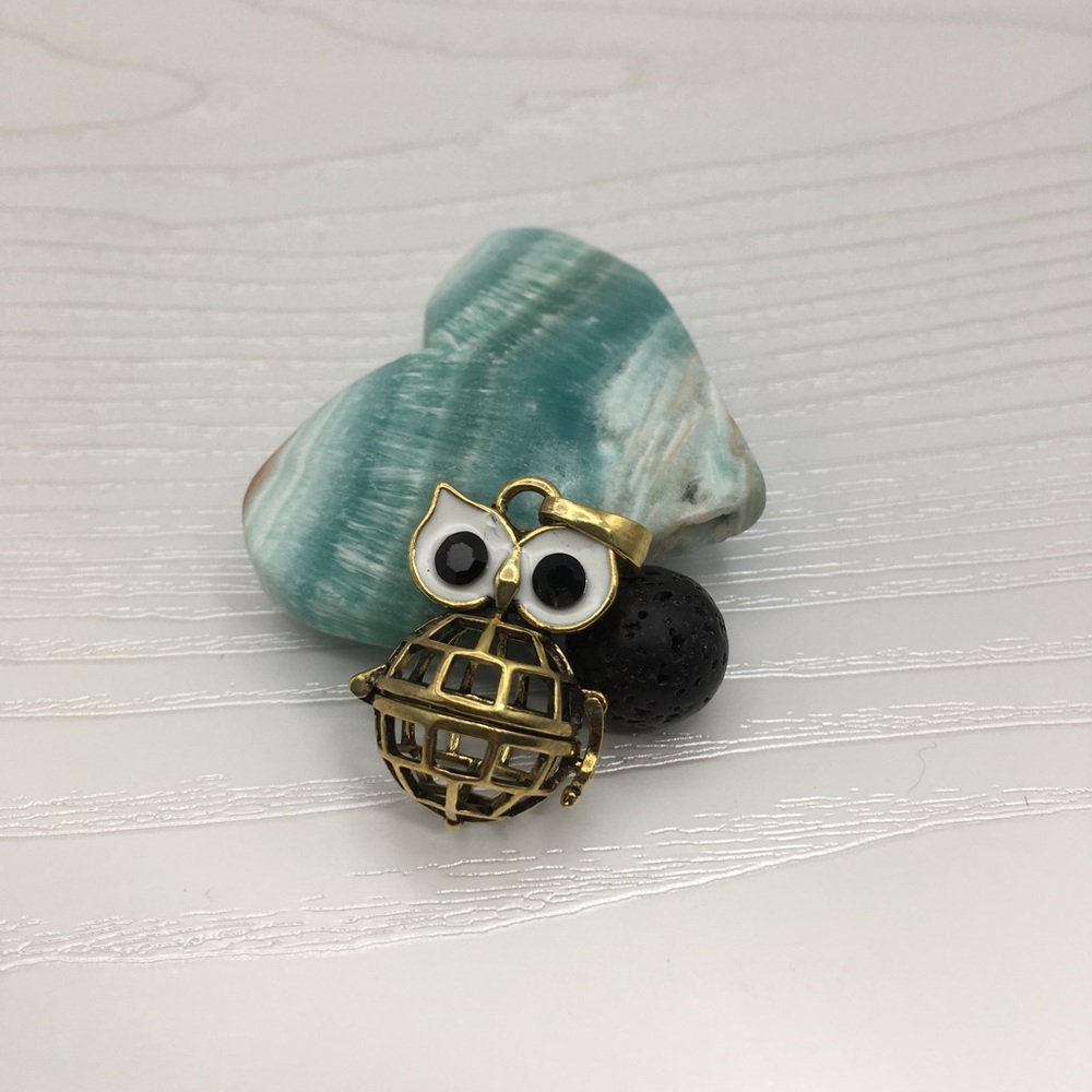 🦉Owl Aromatherapy Brass tone Locket.  Lava stone included.